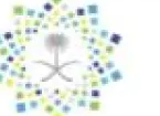 رؤية 2030